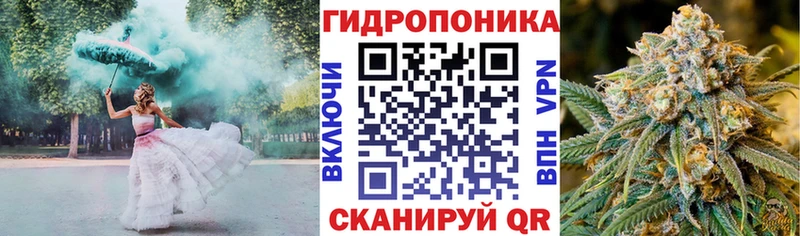 дарнет шоп  Чкаловск  Канабис SATIVA & INDICA 